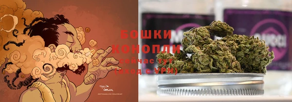 ешки Аркадак