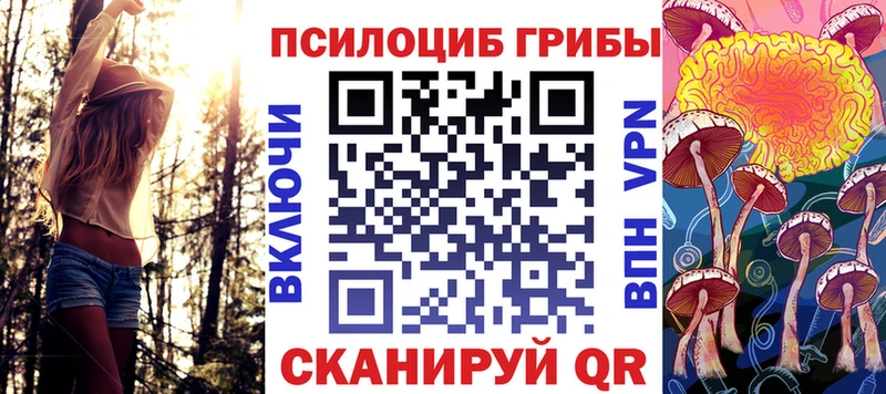 Псилоцибиновые грибы мицелий даркнет сайт Пролетарск